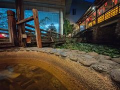 -明月山天沐温泉度假村