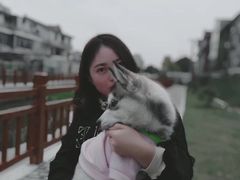 -翊宠yipet猫狗购宠庄园犬舍•猫舍