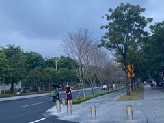 -百威年二手车市场(龙井路店)