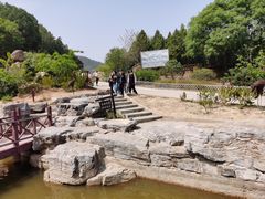 -北京西山国家森林公园