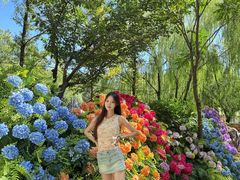 -沂蒙云瀑洞天景区