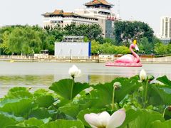-莲花池公园