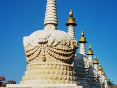 -大召无量寺