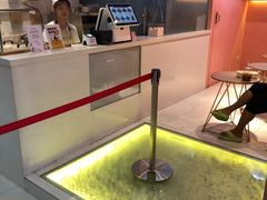 -狐狸和向日葵(北京路店)