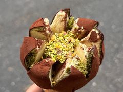 -镇江宝龙广场