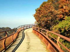 -少华山国家森林公园