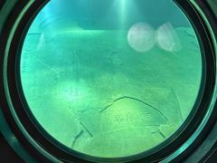 -白鹤梁水下博物馆