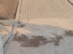 -二一九公园