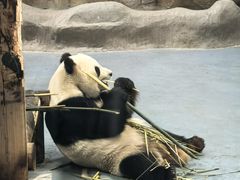 -无锡动物园·太湖欢乐园