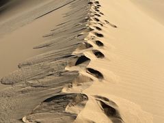 -亿利库布其七星湖沙漠生态旅游区