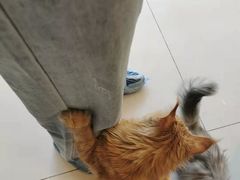 -平行世界·猫咖(首经贸店)