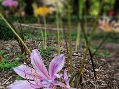 -国家植物园南园