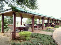 -侯臣咖啡文化村