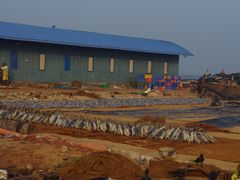 -尼甘布海鲜市场