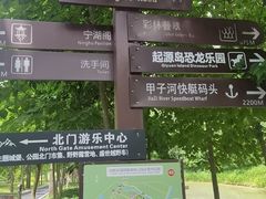 -合肥滨湖国家森林公园