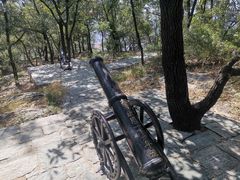 -大伊山景区