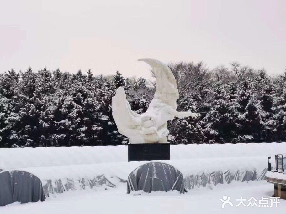 净月湖下雪啦！❄️