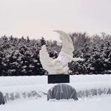 净月湖下雪啦！❄️
