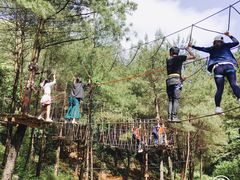 -梦幻奥陶纪景区