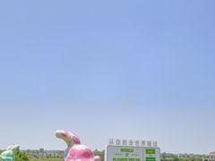 -空港花田景区
