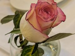 -沙漠玫瑰土耳其餐厅(神路街店)