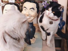 -创艺无限·赵春香微妙艺术馆