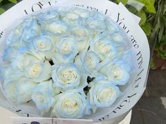 -北边的花店(泛悦城市广场店)