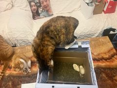 -新荟城(望京店)