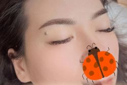-HQ半永久纹绣纹眉