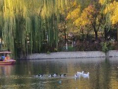 -南翠屏公园