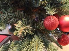 -星巴克臻选(成都九方店)