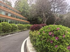 -广州市流溪河国家森林公园