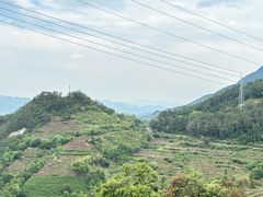 -杨家堂村