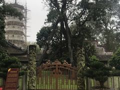 -国恩寺