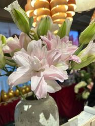 -花隐瑜伽·普拉提·红绳