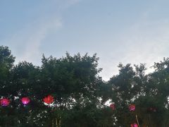 -德发长·花式蒸饺(大唐不夜城店)