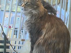 -平行世界·猫咖(首经贸店)