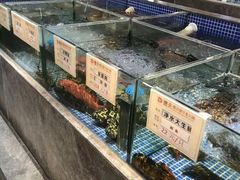 -德天肥牛海鲜火锅(龙吟坊店)