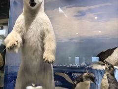 -国家自然博物馆