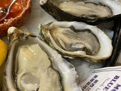 -斯普汇生蚝牛排馆(中骏世界城店)