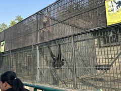 -保定市动物园