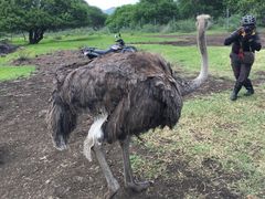 -卡塞拉自然公园