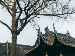 -豫园
