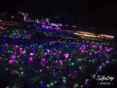 -武汉紫薇都市田园