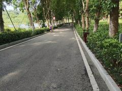 -东莞植物园