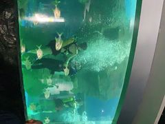 -北海·海洋之窗