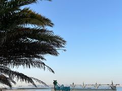 -巨鹏飞梦幻海岸