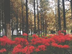 -河海大学(江宁校区)