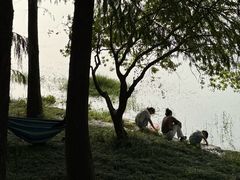 -贡湖湾湿地公园