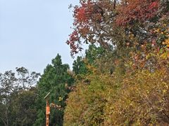 -北京西山国家森林公园